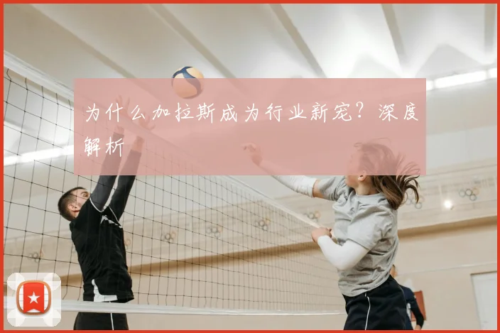 为什么加拉斯成为行业新宠？深度解析