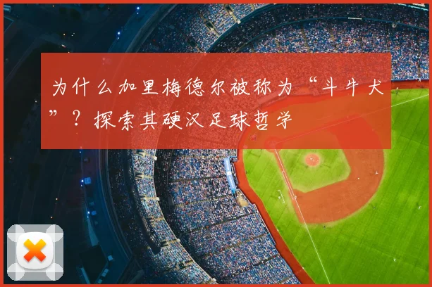 为什么加里梅德尔被称为“斗牛犬”？探索其硬汉足球哲学