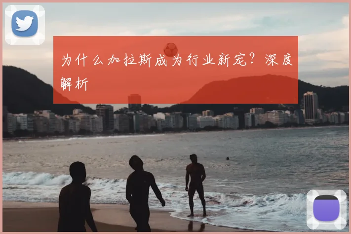 为什么加拉斯成为行业新宠？深度解析