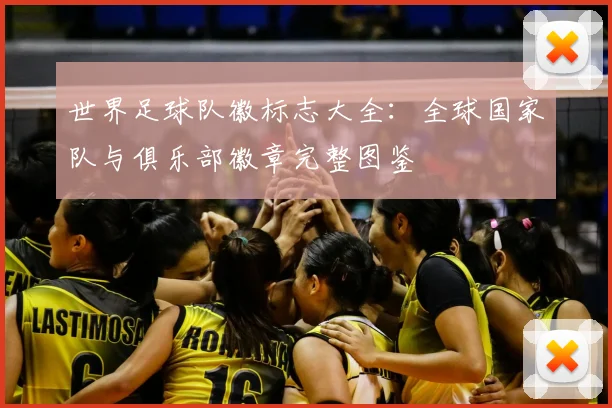 世界足球队徽标志大全：全球国家队与俱乐部徽章完整图鉴