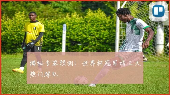 揭秘专家预测：世界杯冠军的三大热门球队